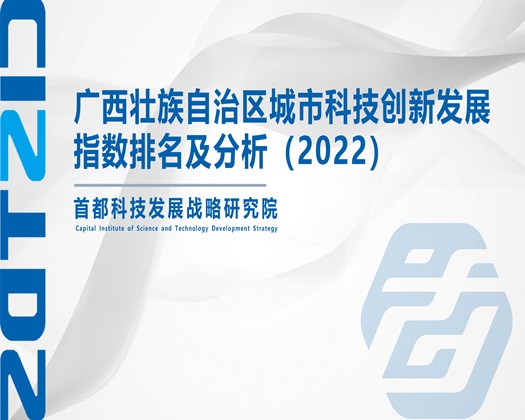 操逼一起看【成果发布】广西壮族自治区城市科技创新发展指数排名及分析（2022）